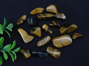 Polished Tiger?s Eye Gemstone Collection ROCK STONE LAPIDARY SPECIMEN