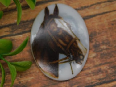 Oval Porcelain Plaque With Horse Design