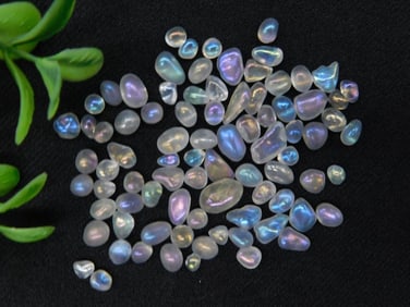 Lot of Polished Rainbow Moonstone Gemstones, 12 Grams