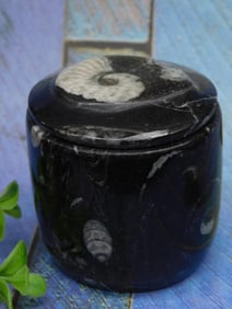 ORTHOCERAS TRINKET BOX ROCK STONE LAPIDARY SPECIMEN