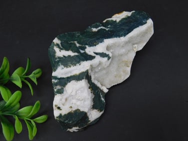 Polished Green and White Stone Specimen