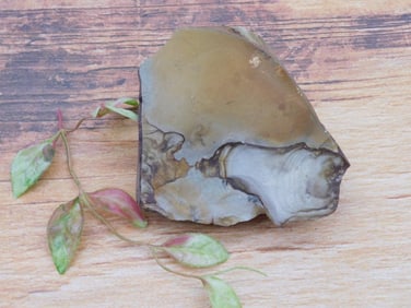 JASPER ROCK STONE LAPIDARY SPECIMEN