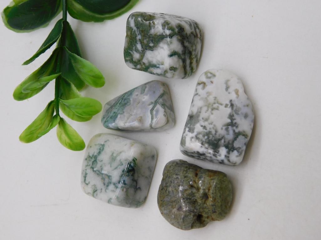 TREE AGATE ROCK STONE LAPIDARY SPECIMEN: TREE AGATE ROCK STONE LAPIDARY SPECIMEN