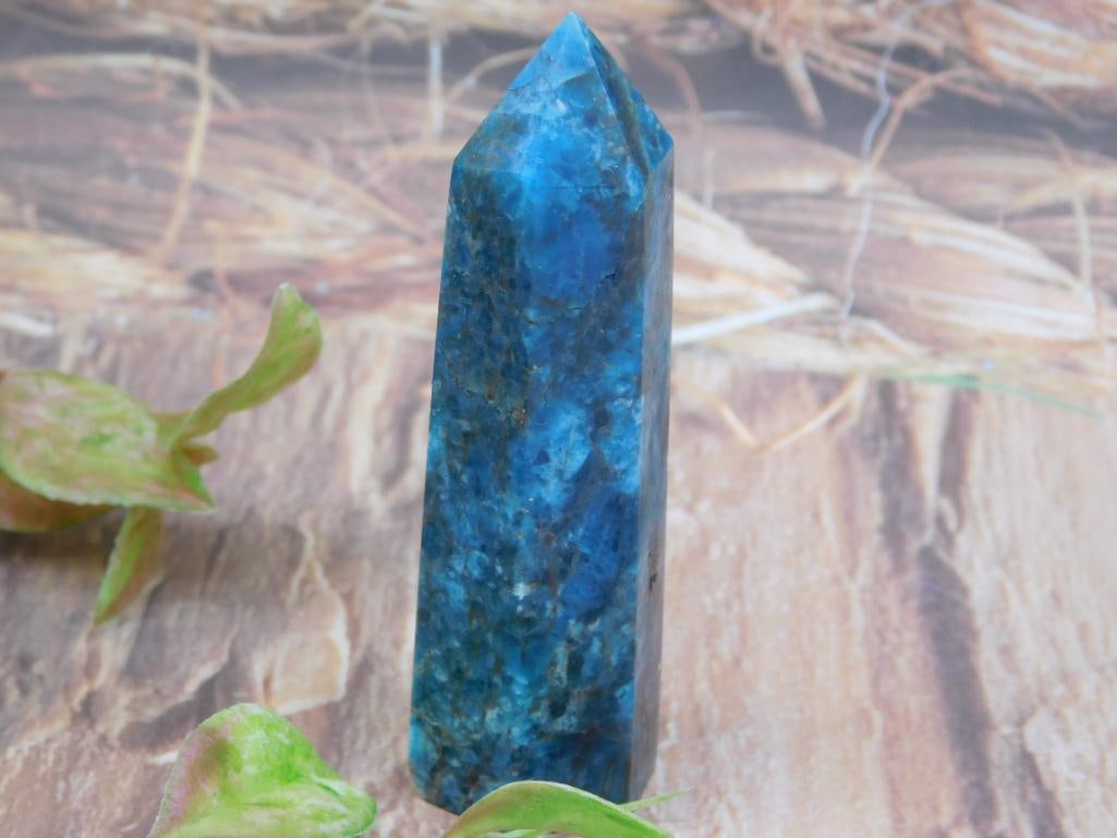 Polished Blue Apatite Crystal Point: A polished blue apatite crystal point featuring vibrant color and natural markings. Photographed alongside a ruler for reference. Includes auction lot detail label (707723). Ideal for collectors or cr