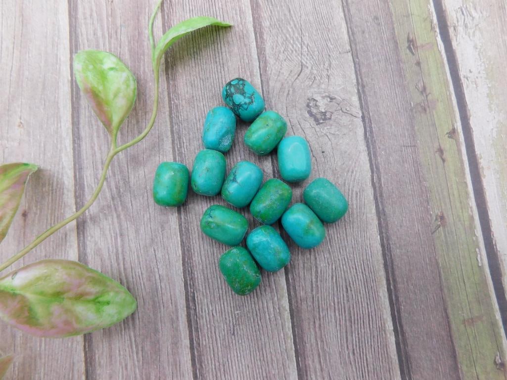 Collection of Green Turquoise Beads for Jewelry Making: This lot contains a collection of 13 green turquoise beads, ideal for crafting or jewelry making. The beads vary in shapes and display a natural green hue with scattered markings typical of turquoise.
