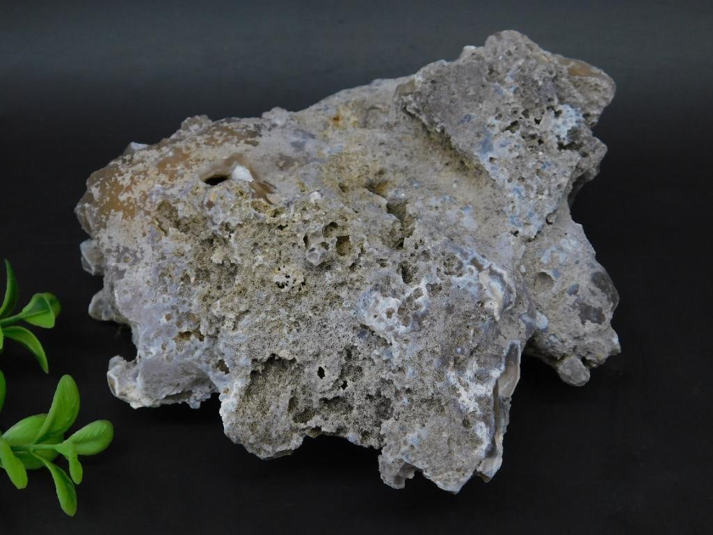 Porous Rock Specimen With Display Potential: A single porous rock specimen showcasing a rough and textured surface. The rock is natural and exhibits tones of gray with subtle hints of white throughout its structure. The piece measures approximat