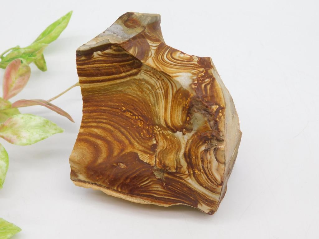 JASPER ROCK STONE LAPIDARY SPECIMEN: This listing is for a polished specimen of petrified wood showcasing natural swirling patterns in warm earth tones. The item is shown next to a ruler for scale reference, providing a size guide. This