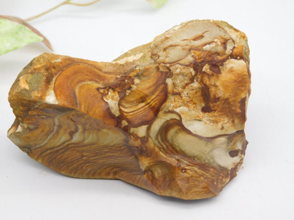 JASPER ROCK STONE LAPIDARY SPECIMEN: Polished jasper stone weighing 273 grams. Features unique swirls of earthy tones including brown, orange, and cream. Measures approximately 3 to 4 inches across longest side based on the visible ruler
