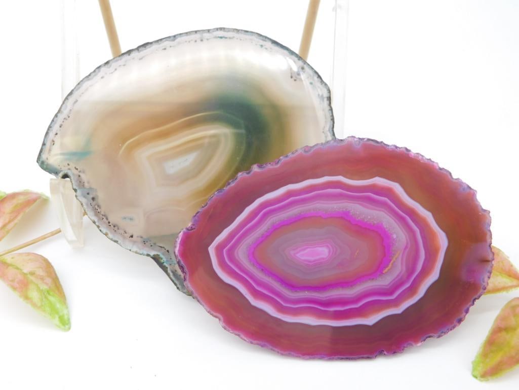 AGATE SLICES ROCK STONE LAPIDARY SPECIMEN: AGATE SLICES ROCK STONE LAPIDARY SPECIMEN