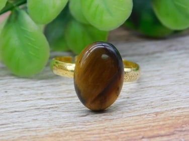 TIGER EYE RING ROCK STONE LAPIDARY SPECIMEN