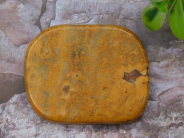 YELLOW CRAZY LACE ROCK STONE LAPIDARY SPECIMEN