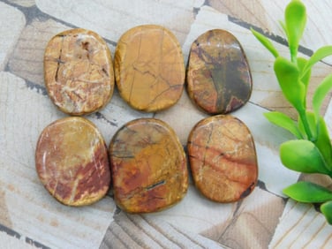 NETWORK JASPER ROCK STONE LAPIDARY SPECIMEN