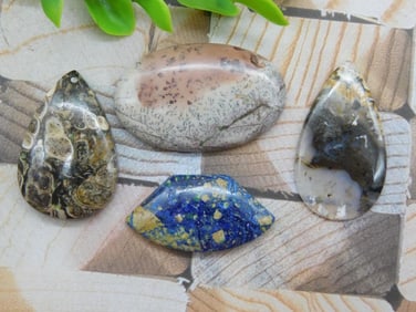 CABOCHONS ROCK STONE LAPIDARY SPECIMEN