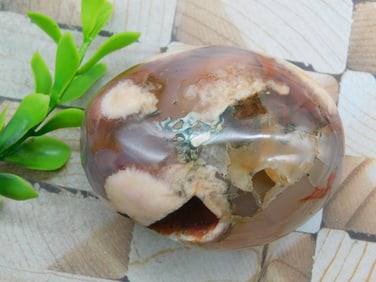 HATMANS FLOWER PETAL AGATE ROCK STONE LAPIDARY SPECIMEN