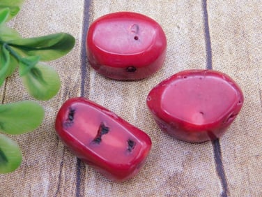 RED CORAL ROCK STONE LAPIDARY SPECIMEN