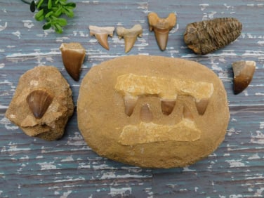 MIXED LOT ROCK STONE LAPIDARY SPECIMEN