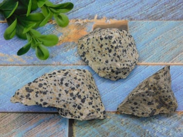 DALMATION JASPER ROCK STONE LAPIDARY SPECIMEN