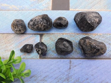 APACHE TEARS ROCK STONE LAPIDARY SPECIMEN