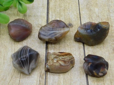MIXED LOT ROCK STONE LAPIDARY SPECIMEN