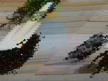 MIXED LOT ROCK STONE LAPIDARY SPECIMEN