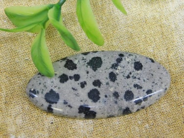 DALMATION JASPER ROCK STONE LAPIDARY SPECIMEN