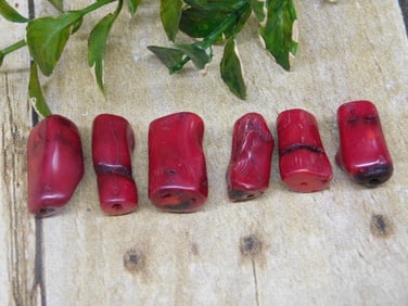 RED CORAL ROCK STONE LAPIDARY SPECIMEN