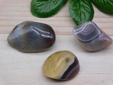 BOTSWANA AGATE ROCK STONE LAPIDARY SPECIMEN