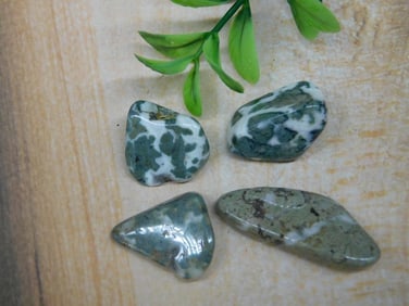 CAMOFLAUGE AGATE ROCK STONE LAPIDARY SPECIMEN