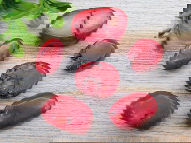 RED CORAL ROCK STONE LAPIDARY SPECIMEN