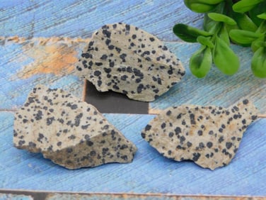 DALMATION JASPER ROCK STONE LAPIDARY SPECIMEN
