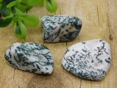 TREE AGATE ROCK STONE LAPIDARY SPECIMEN