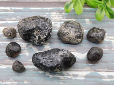 APACHE TEARS ROCK STONE LAPIDARY SPECIMEN