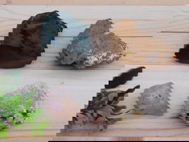 MIXED ROUGH LOT ROCK STONE LAPIDARY SPECIMEN