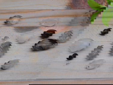 TOURMALATED QUARTZ ROCK STONE LAPIDARY SPECIMEN