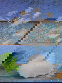 STONE TREE ROCK STONE LAPIDARY SPECIMEN