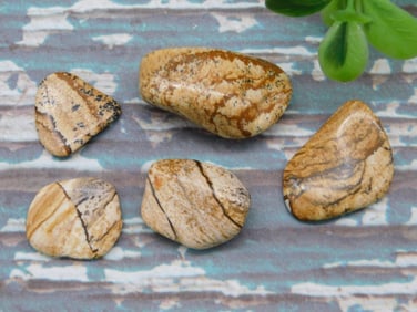 PICTURE JASPER ROCK STONE LAPIDARY SPECIMEN