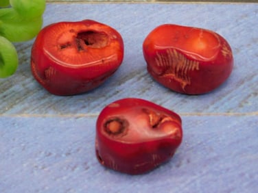 RED CORAL ROCK STONE LAPIDARY SPECIMEN