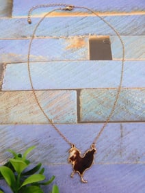 CHICKEN NECKLACE ROCK STONE LAPIDARY SPECIMEN