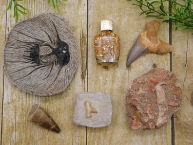 MIXED LOT ROCK STONE LAPIDARY SPECIMEN