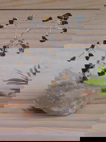 STONE TREE ROCK STONE LAPIDARY SPECIMEN