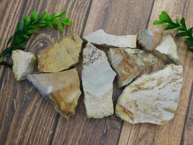 PETRIFIED WOOD SLAB PIECES ROCK STONE LAPIDARY SPECIMEN