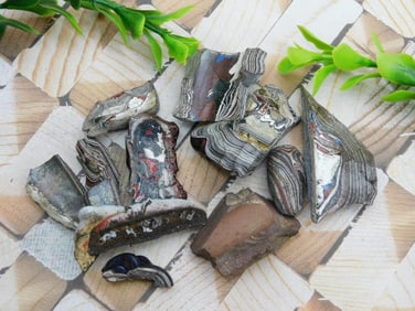 FORDITE MOTOR CITY AGATE ROCK STONE LAPIDARY SPECIMEN