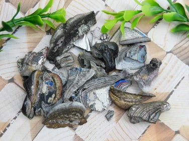 FORDITE MOTOR CITY AGATE ROCK STONE LAPIDARY SPECIMEN