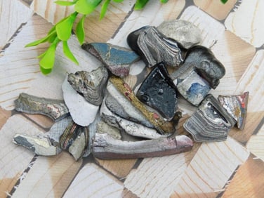 FORDITE MOTOR CITY AGATE ROCK STONE LAPIDARY SPECIMEN