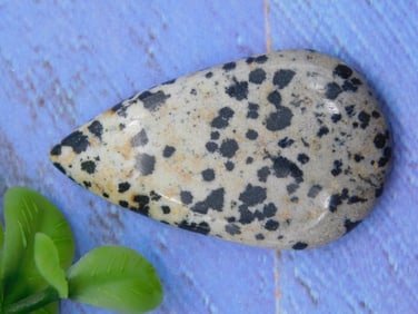 DALMATION JASPER CABOCHON ROCK STONE LAPIDARY SPECIMEN