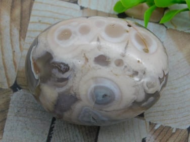 HATMANS FLOWER PETAL AGATE ROCK STONE LAPIDARY SPECIMEN