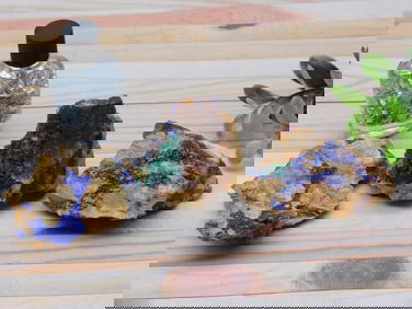 MIXED LOT ROCK STONE LAPIDARY SPECIMEN