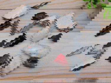 FORDITE MOTOR CITY AGATE ROCK STONE LAPIDARY SPECIMEN