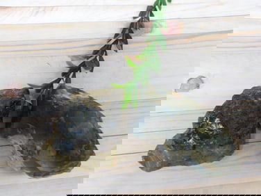 MIXED ROUGH ROCK ROCK STONE LAPIDARY SPECIMEN