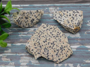 DALMATION JASPER ROCK STONE LAPIDARY SPECIMEN